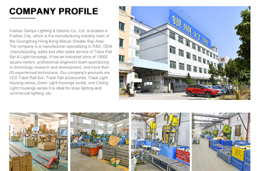 Çin Foshan Sampo Lighting &amp; Electrical Co., Ltd.