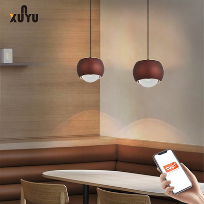 XUNYU LED Sarkıt Işık 8W 6000K Küre Sarkıt Aydınlatma Armatürleri